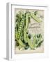 Antique Seed Packets V-Unknown-Framed Art Print