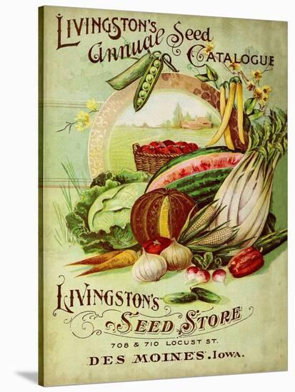 Antique Seed Packets VII-Unknown-Stretched Canvas