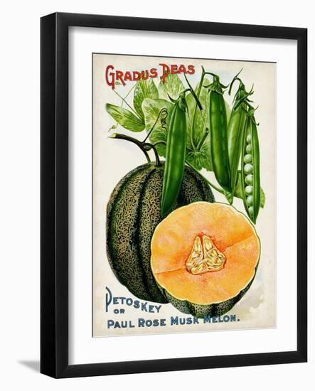 Antique Seed Packets X-Unknown-Framed Art Print