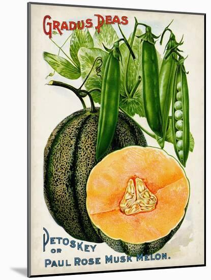 Antique Seed Packets X-Unknown-Mounted Art Print