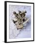 Antique Sextant on a Map-null-Framed Photographic Print