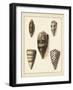Antique Shells IV-Denis Diderot-Framed Art Print