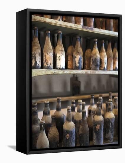 Antique Sherry Jars, Bodegas Gonzalez Byass, Jerez De La Frontera, Spain-Walter Bibikow-Framed Stretched Canvas