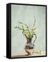 Antique Silver Jug Filled with Spring Blossom-Amd Images-Framed Stretched Canvas