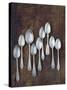 Antique Silver Spoons-null-Stretched Canvas