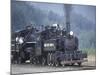 Antique Steam Locomotive, Elbe, Washington, USA-William Sutton-Mounted Photographic Print