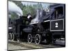 Antique Steam Locomotive, Elbe, Washington, USA-William Sutton-Mounted Photographic Print