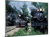 Antique Steam Locomotives, Elbe, Washington, USA-William Sutton-Mounted Photographic Print