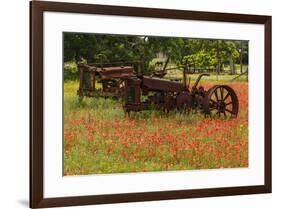 Antique tractors in field of red paintbrush flowers, hill country, near Llano, Texas-Adam Jones-Framed Photographic Print