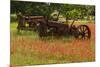 Antique tractors in field of red paintbrush flowers, hill country, near Llano, Texas-Adam Jones-Mounted Photographic Print