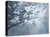 Antique Tree II-Kari Taylor-Stretched Canvas