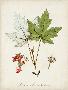 Just the Print
