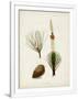 Gramercy White