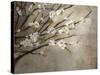 Antique Tree-Kari Taylor-Stretched Canvas