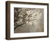 Antique Tree-Kari Taylor-Framed Giclee Print