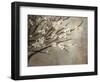 Antique Tree-Kari Taylor-Framed Giclee Print