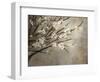 Antique Tree-Kari Taylor-Framed Giclee Print