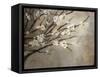 Antique Tree-Kari Taylor-Framed Stretched Canvas