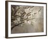 Antique Tree-Kari Taylor-Framed Giclee Print