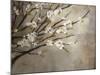 Antique Tree-Kari Taylor-Mounted Giclee Print