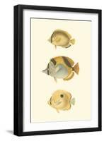 Antique Tropical Fish I-Vision Studio-Framed Art Print