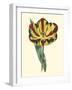 Antique Tulip I-null-Framed Art Print