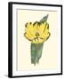 Antique Tulip II-null-Framed Art Print