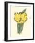 Antique Tulip II-null-Framed Art Print