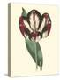 Antique Tulip IV-null-Stretched Canvas