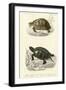 Antique Turtle Duo II-Oudart-Framed Art Print