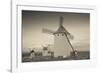 Antique windmills in a field, Campo De Criptana, Ciudad Real Province, Castilla La Mancha, Spain-null-Framed Photographic Print