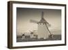 Antique windmills in a field, Campo De Criptana, Ciudad Real Province, Castilla La Mancha, Spain-null-Framed Photographic Print