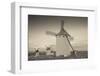 Antique windmills in a field, Campo De Criptana, Ciudad Real Province, Castilla La Mancha, Spain-null-Framed Photographic Print