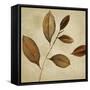 Antiqued Leaves I-Lanie Loreth-Framed Stretched Canvas