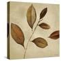 Antiqued Leaves I-Lanie Loreth-Stretched Canvas