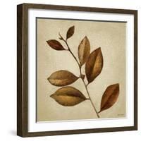 Antiqued Leaves II-Lanie Loreth-Framed Art Print