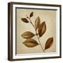 Antiqued Leaves II-Lanie Loreth-Framed Art Print