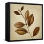 Antiqued Leaves II-Lanie Loreth-Framed Stretched Canvas