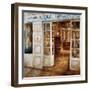 Antiques-Noemi Martin-Framed Art Print