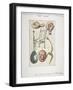 Antiquities Found in the Excavations for the Works of the New London Bridge, 1825-null-Framed Giclee Print