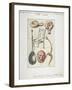 Antiquities Found in the Excavations for the Works of the New London Bridge, 1825-null-Framed Giclee Print