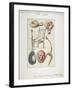 Antiquities Found in the Excavations for the Works of the New London Bridge, 1825-null-Framed Giclee Print