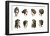 Antiquity Mode. Hairstyle of Women (Top) and Men (Bottom) Showing Different Haircuts in the Period-null-Framed Giclee Print