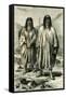 Antis Indians, 1869, Peru-null-Framed Stretched Canvas