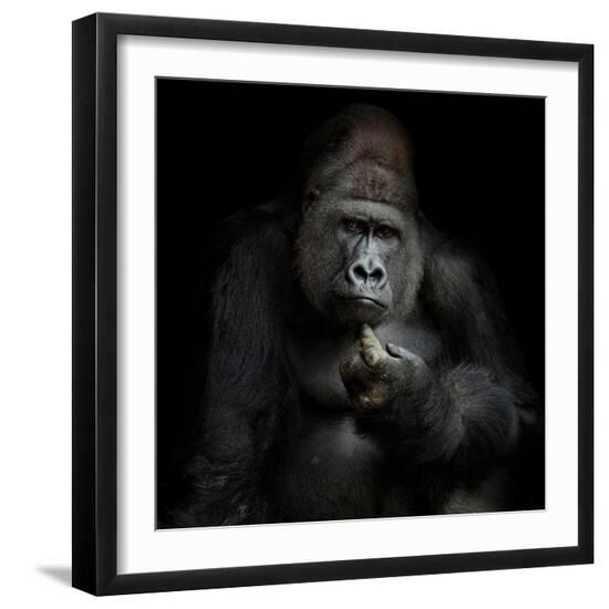 Premium Photographic Print, , large