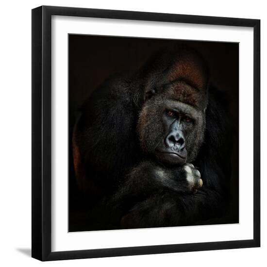 Premium Photographic Print, , large