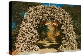 Antler Arch into Jackson Hole, Wyoming-null-Stretched Canvas