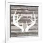 Antler Art II-Tandi Venter-Framed Art Print