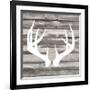 Antler Art II-Tandi Venter-Framed Art Print