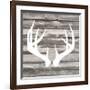 Antler Art II-Tandi Venter-Framed Giclee Print